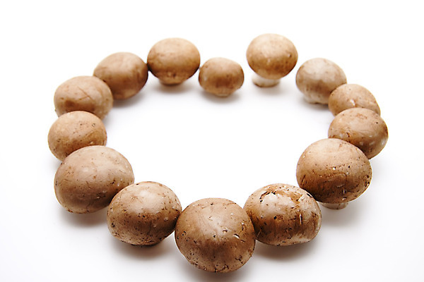 포토 JPG 해외이미지 음식 채소 사람없음 갈색 식사 버섯 수확 껍질 하트 신선 맛 먹기 피부 흰배경 날것 판지 해외202004 해외포토 모양 컬러 백그라운드 컨셉 농업 모션 신체부위 흰색 파일형식 이미지허브