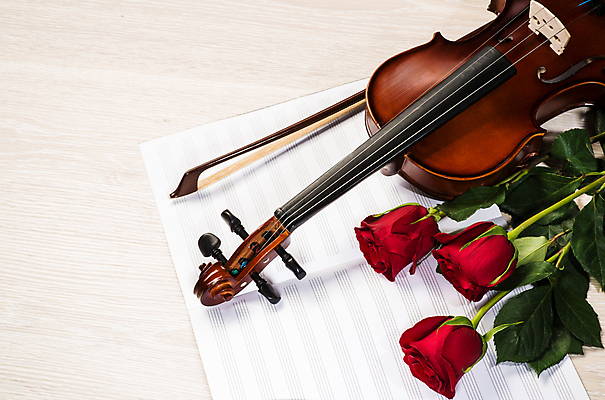 포토 JPG 해외이미지 사람없음 장미 우아함 바이올린 악보 나무바닥 바이올린활 해외202004 해외포토 꽃 음악 컨셉 현악기 바닥 파일형식 이미지허브
