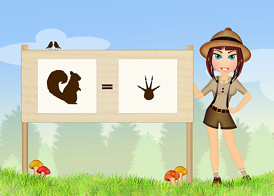 포토 JPG 해외이미지 동물 공원 교육 야생동물 일러스트 포유류 자연 미소 사람없음 목재 숲 사인 다람쥐 지문 해외202004 해외포토 나무 공공시설 재료 표정 설치류 생태계 파일형식 이미지허브