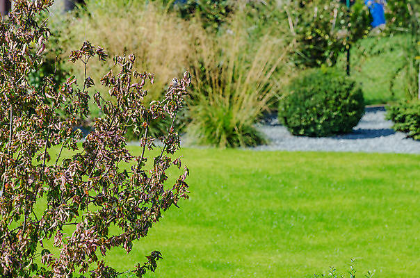 포토 JPG 해외이미지 나무 구름 외관 공원 아시아 호수 어린이 여행 건축양식 자연 놀이 하늘 지붕 추상 사람 동양인 풍경 잔디 사람없음 야외 장식 빨간색 초록색 여름 파란색 빛 정원 장비 흰색 도시 화려 미끄럼틀 놀이터 장면 지역 정중 해외202004 해외포토 자연요소 식물 계절 공공시설 건축 나라 컬러 컨셉 무늬 인종 놀이기구 생태계 파일형식 이미지허브