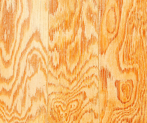 포토 JPG 해외이미지 식물 디자인 벽 가구 백그라운드 패턴 자연 벽지 표면 날씨 바닥 주택 외벽 사람없음 건물 목재 세로 울타리 갈색 줄무늬 골동품 소나무 판넬 거친 널 낟알 목수 질감 목공예 잡동사니 내추럴 그런지 사생활 수목 옛날 줄서기 해외202004 해외포토 나무 직업 건축물 컬러 생활용품 무늬 재료 모션 담장 공예 생태계 파일형식 이미지허브