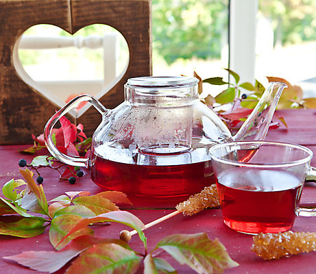 포토 JPG 해외이미지 음료 분홍색 잎 과일 따뜻함 사랑 사람없음 빨간색 컬러풀 숟가락 수확 가을 하트 시골 신선 뜨거움 차 떨어짐 찻주전자 설탕 단절 카피스페이스 해외202004 해외포토 모양 식물 계절 감정 컬러 컨셉 농업 주전자 수저 공백 파일형식 이미지허브