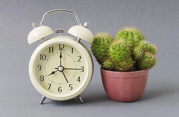 포토 JPG 해외이미지 시계 백그라운드 탁자 아침 새로움 선인장 사람없음 컬러풀 숫자 반사 금속 수확 골동품 종 흰색 시간 클래식 은색 손목시계 오브젝트 싱글 복고 공포 마감 분 압력 옛날 조언 카운트다운 스타일 해외202004 해외포토 주간 식물 문자 컬러 가구 컨셉 농업 장신구 재질 파일형식 이미지허브