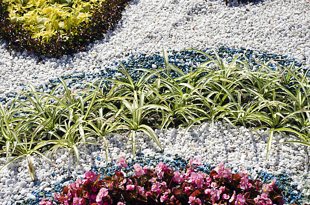 포토 JPG 해외이미지 식물 전통 계절 공원 꽃 문화 여행 꽃무늬 밭 농업 자연 풍경 사람없음 빨간색 여름 컬러풀 숫자 장미 노란색 평화 정원 보라색 경쟁 벚꽃 흰색 시골 침대 축하 심볼 2014년 화단 8월 우크라이나 전국 세련 해외202004 해외포토 문자 공공시설 유럽 산업 컬러 가구 컨셉 무늬 날짜 연도 생태계 파일형식 이미지허브