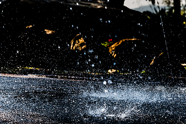 포토 JPG 해외이미지 계절 백그라운드 자연 표면 날씨 추상 사람없음 야외 물 어둠 젖음 흐름 가을 물방울 도시 캔 떨어짐 물주기 땅바닥 해외202004 해외포토 자연요소 컨셉 무늬 모션 바닥 생태계 파일형식 이미지허브