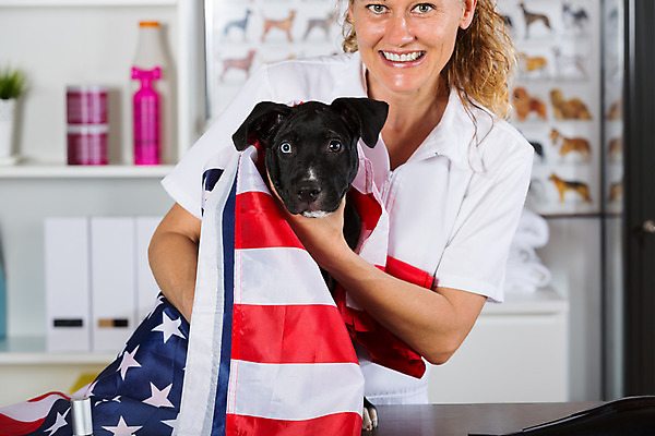 포토 JPG 해외이미지 새끼 한명 반려동물 미국 깃발 개 강아지 테리어 수의사 돌봄 해외202004 해외포토 동물 1 북아메리카 포유류 모션 사람 의사 파일형식 이미지허브