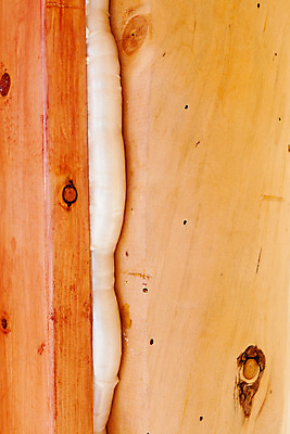 포토 JPG 해외이미지 건축양식 프레임 사람없음 건물 목재 노란색 환경 거품 에너지 절약 틈 끝 수리 닫기 보호 물개 분무기 부활 잡동사니 DIY 고립 봉인 업그레이드 효율 해외202004 해외포토 나무 건축물 건축 컬러 컨셉 재료 포유류 모션 취미 바다동물 파일형식 이미지허브