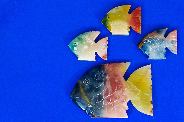 포토 JPG 해외이미지 동물 바다 자연 어류 사람없음 물 파란색 컬러풀 노란색 수중 수영 흰색 산호 금붕어 탱크 암초 수족관 고립 해외202004 해외포토 자연요소 컬러 수중동물 수상스포츠 자포동물 생태계 파일형식 이미지허브