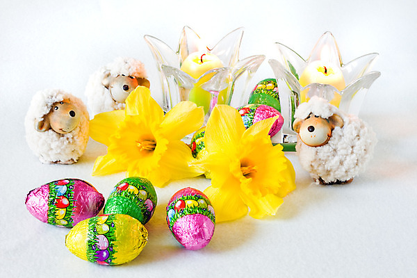 포토 JPG 해외이미지 꽃 잎 자연 휴가 부활절 새로움 사람없음 장식 초록색 컬러풀 노란색 초콜릿 계란 봄 성장 나뭇가지 축하 사발 오브젝트 수선화 유월절 해외202004 해외포토 나무 식물 계절 기념일 컬러 컨셉 디저트 알 사기그릇 생태계 파일형식 이미지허브