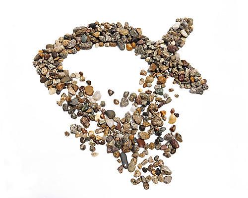 포토 JPG 해외이미지 아이콘 기독교 종교 크리스마스 자연 부활절 어류 사람없음 믿음 성경 천주교 조약돌 바위 예수 승낙 심볼 원예 신성 암초 신앙심 동정 해외202004 해외포토 기념일 감정 컨셉 종교용품 취미 수중동물 돌_바위 신_종교 생태계 파일형식 이미지허브