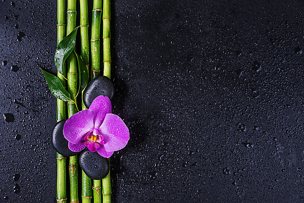 포토 JPG 해외이미지 나무 꽃 문화 줄기 분홍색 백그라운드 컨셉 잎 불교 자연 건강 동양인 사람없음 장식 초록색 물 보라색 검은색 스파 중국 공백 성장 물방울 나뭇가지 신선 마사지 난초 이슬 수분 열대우림 대나무 호접란 암초 동쪽 현무암 해외202004 해외포토 자연요소 식물 아시아 종교 컬러 인종 숲 방향 생태계 화산암 파일형식 이미지허브