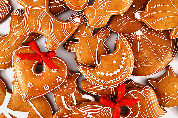 포토 JPG 해외이미지 나무 전통 계절 음식 백그라운드 크리스마스 겨울 휴가 디저트 사람없음 목재 장식 갈색 쿠키 케이크 얼음 축제 그룹 달콤 굽기 연도 향신료 향 핸드메이드 해외202004 해외포토 자연요소 식물 기념일 컬러 재료 맛 구이 향미료 파일형식 이미지허브