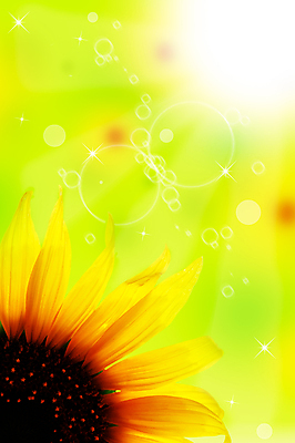 포토 JPG 해외이미지 식물 꽃잎 꽃 행복 백그라운드 잎 꽃무늬 패턴 농업 오렌지 자연 하늘 휴가 휴식 해바라기 새로움 사람없음 장식 빨간색 초록색 빛 농작물 햇빛 태양 노란색 머리 정원 검은색 일몰 봄 활발 수확 벚꽃 뜨거움 황금 묘사 싱글 질감 해외202004 해외포토 자연요소 계절 감정 산업 컬러 컨셉 무늬 과일 신체부위 노을 생태계 파일형식 이미지허브