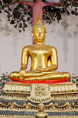 포토 JPG 해외이미지 나무 전통 아시아 종교 문화 조각 불교 건축양식 태국 미술 동양인 사람없음 장식 조각상 교회 평화 믿음 골동품 사찰 역사 황금 야간 묘사 방콕 신성 사당 숭배 신앙심 스타일 해외202004 해외포토 자연요소 식물 건축 감정 나라 컨셉 종교건축 문화예술 인종 건물 조형물 파일형식 이미지허브