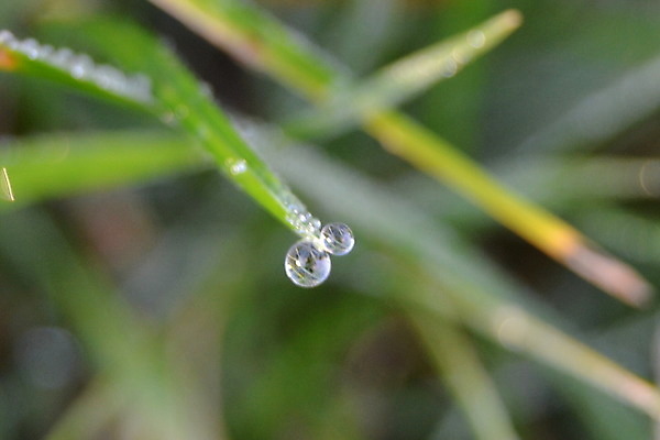 포토 JPG 해외이미지 사람없음 물방울 해외202004 해외포토 파일형식 이미지허브