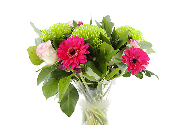 포토 JPG 해외이미지 꽃 분홍색 꽃다발 잎 자연 유리 사람없음 초록색 장미 꽃병 닫기 거베라 고립 해외202004 해외포토 식물 컬러 모션 재질 생태계 파일형식 이미지허브