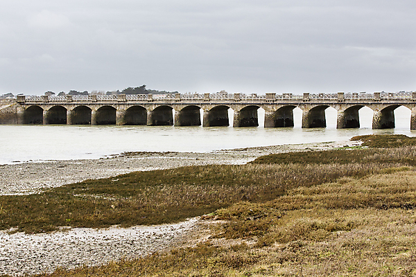 포토 JPG 해외이미지 구름 물결 모래 파도 바다 여행 자연 조류 하늘 휴가 풍경 사람없음 야외 물 여름 여행객 봄 프랑스 서핑 북쪽 종료 노르망디 단절 서쪽 소금물 해외202004 해외포토 자연요소 동물 계절 유럽 사람 수상스포츠 방향 생태계 파일형식 이미지허브