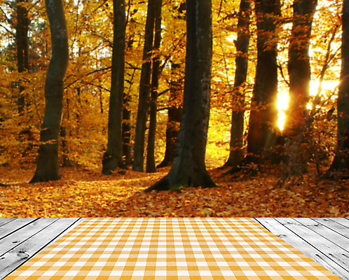 포토 JPG 해외이미지 벽 백그라운드 잎 오렌지 자연 벽지 탁자 추상 바닥 사람없음 내부 목재 아웃포커스 초록색 빛 컬러풀 햇빛 노란색 우주 주방 맑음 공백 활발 방 발코니 가을 점 원형 황금 널 정상 매끈함 소프트포커스 숲 보케 부드러움 빛망울 블러 환상 해외202004 해외포토 도형 나무 식물 계절 컬러 가구 컨셉 무늬 과일 재료 날씨 촬영기법 태양 감각 생태계 파일형식 이미지허브