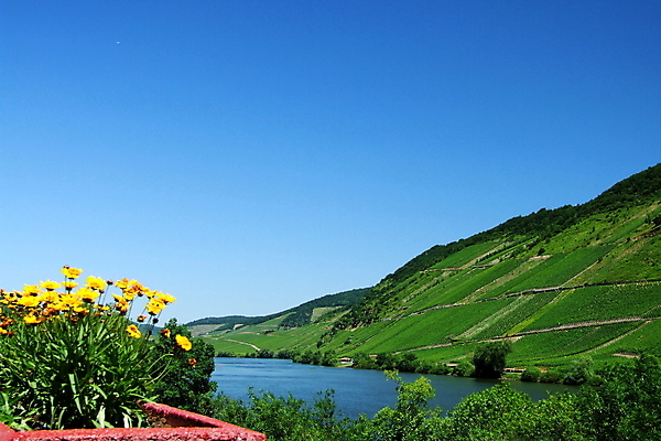 포토 JPG 해외이미지 사람없음 해외202004 해외포토 파일형식 이미지허브
