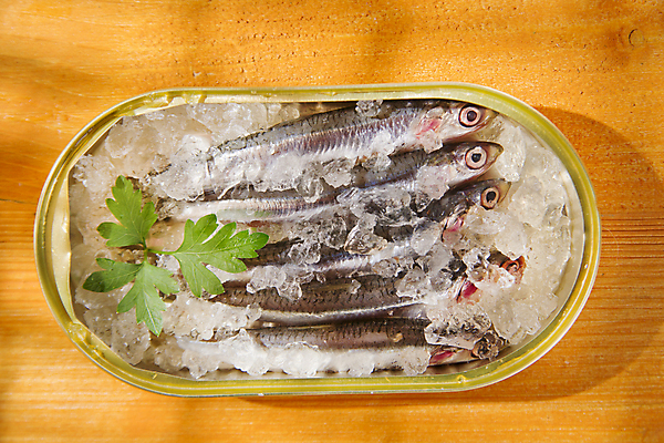 포토 JPG 해외이미지 식재료 실내 사람없음 하이앵글 얼음 신선 통조림 멸치 앤초비 나무배경 해외202004 해외포토 자연요소 뷰포인트 백그라운드 어류 내부 파일형식 이미지허브