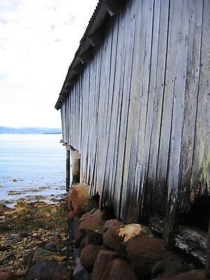 포토 JPG 해외이미지 산업 자연 하늘 사람없음 목재 여름 파란색 흰색 기중기 천국 방앗간 해외202004 해외포토 나무 계절 컬러 재료 중장비 생태계 파일형식 이미지허브