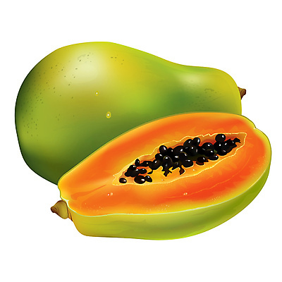 포토 JPG 해외이미지 과일 일러스트 사람없음 파파야 해외202004 해외포토 열대과일 파일형식 이미지허브