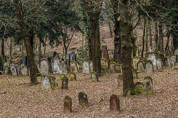 포토 JPG 해외이미지 꽃 기독교 종교 지구 백그라운드 십자가 부활절 사람없음 목재 조각상 검은색 성경 바위 기도 죽음 예수 영혼 목사 심볼 애도 신성 땅파기 신앙심 옛날 장례식 오싹 해외202004 해외포토 나무 식물 기념일 컬러 재료 종교용품 조형물 신_종교 성직자 파일형식 이미지허브