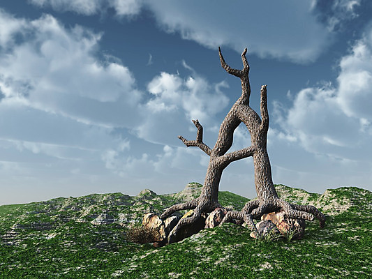 포토 JPG 해외이미지 나무 식물 구름 캐릭터 알파벳 일러스트 학교 자연 하늘 날씨 추상 사람없음 목재 갈색 3D 나뭇가지 거친 편지 오브젝트 사인 뿌리 타입 고립 수목 엘리먼트 해외202004 해외포토 자연요소 영어 교육 컬러 무늬 재료 디지털합성 생태계 파일형식 이미지허브