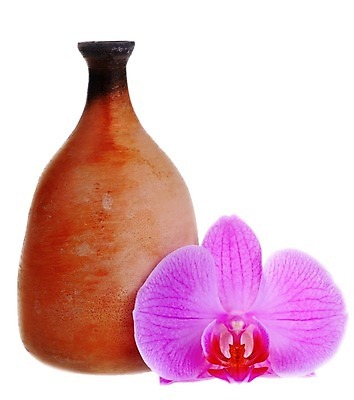 포토 JPG 해외이미지 전통 식기 접시 꽃 꽃무늬 사람없음 빨간색 뷰티 갈색 검은색 기구 항아리 도자기 난초 오브젝트 만족 함선 부리 점토 토기 목 수공예 내추럴 고립 구식 얇은 옛날 우크라이나 전국 특별함 해외202004 해외포토 식물 감정 유럽 컬러 컨셉 무늬 배_교통 신체부위 용기_그릇 공예 파일형식 이미지허브