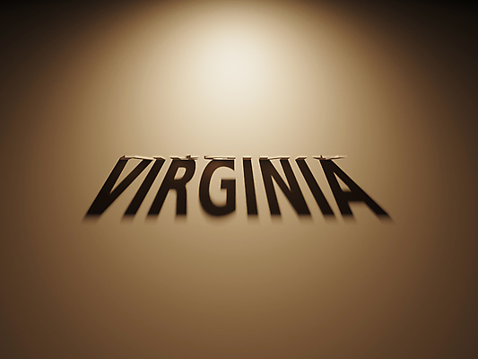 포토 JPG 해외이미지 일러스트 사람없음 3D 미국 투표 선거 민주주의 법 최초 공화국 대통령 정책 정치 헌법 해외202004 해외포토 나라 북아메리카 디지털합성 파일형식 이미지허브