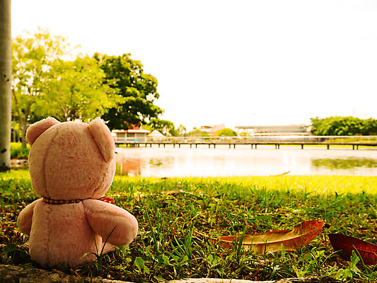 포토 JPG 해외이미지 동물 계절 공원 행복 어린이 인형 백그라운드 크리스마스 곰 자연 놀이 휴식 털 발렌타인데이 선물 사랑 앉기 사람없음 야외 초록색 물 장난감 태양 소풍 갈색 일출 항구 정원 일몰 수확 가을 흰색 아기 달콤 모피 싱글 복고 내추럴 해외202004 해외포토 자연요소 공공시설 기념일 감정 컬러 컨셉 농업 포유류 교통시설 모션 데이이벤트 사람 야외활동 노을 맛 생태계 파일형식 이미지허브