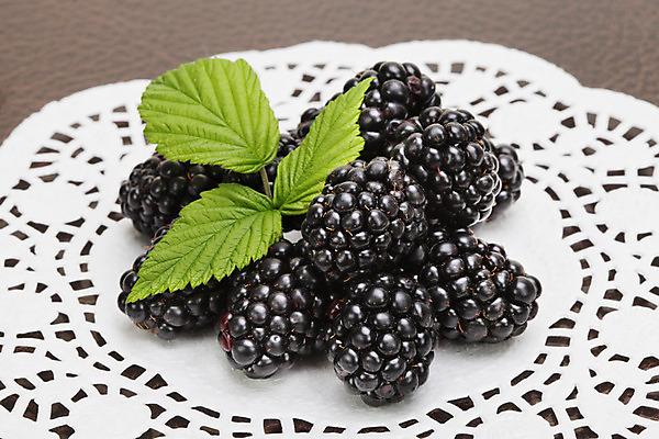 포토 JPG 해외이미지 열매 음식 잎 과일 디저트 사람없음 초록색 주스 흰색 신선 닫기 달콤 블랙베리 숙성 해외202004 해외포토 식물 음료 컬러 모션 맛 파일형식 이미지허브