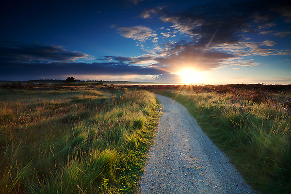 포토 JPG 해외이미지 구름 계절 도로 길 여행 밭 오렌지 자연 하늘 아침 풍경 사람없음 야외 초록색 여름 파란색 빛 햇빛 태양 노란색 일출 일몰 시골 습지 방향 속도 네덜란드 방법 변소 해외202004 해외포토 주간 자연요소 유럽 컬러 농업 과일 교통시설 노을 생태계 파일형식 이미지허브