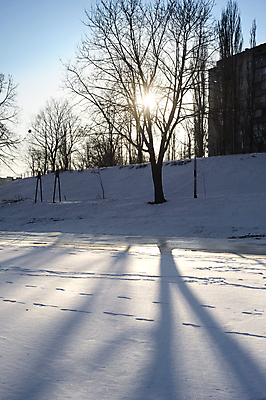 포토 JPG 해외이미지 나무 계절 도로 겨울 하늘 날씨 거리 주택 풍경 사람없음 야외 파란색 도시풍경 햇빛 맑음 냉동 추위 덮개 흰색 나뭇가지 도시 서리 북쪽 이웃 눈보라 1월 2월 우크라이나 폭설 눈내림 해외202004 해외포토 식물 유럽 길 컬러 교통시설 눈_날씨 건물 태양 뚜껑 날짜 자연재해 방향 파일형식 이미지허브
