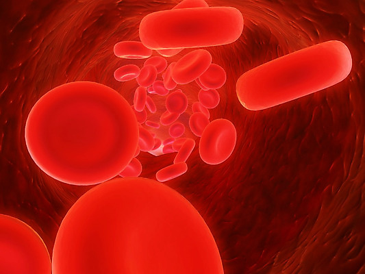 포토 JPG 해외이미지 세포 사람없음 빨간색 3D 적혈구 혈구 해외202004 해외포토 컬러 디지털합성 혈관 파일형식 이미지허브