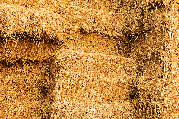 포토 JPG 해외이미지 주간 농업 풍경 사람없음 야외 농경지 짚더미 뭉치 해외202004 해외포토 자연요소 산업 농장 볏짚 파일형식 더미 이미지허브