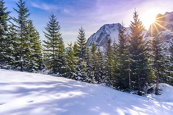 포토 JPG 해외이미지 나무 계절 유럽 크리스마스 아침 날씨 휴가 새해 산 사람없음 야외 초록색 파란색 관광지 컬러풀 햇빛 태양 맑음 얼음 추위 흰색 오스트리아 숲 유혹 서리 알프스 전나무 눈내림 몽환 겨울풍경 해외202004 해외포토 주간 자연요소 식물 기념일 나라 컬러 여행 컨셉 겨울 눈_날씨 풍경 파일형식 이미지허브