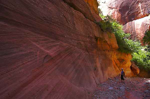 포토 JPG 해외이미지 나무 식물 공원 지구 모래 여행 오렌지 자연 하늘 휴가 산 풍경 사람없음 야외 빨간색 파란색 컬러풀 노란색 골짜기 계곡 사막 자유 소나무 탈출 오르기 먼지 사암 멀리 천연기념물 단절 시온산 지질학 콜로라도 특별함 해외202004 해외포토 공공시설 교육 컬러 컨셉 과일 모션 미국 돌_바위 생태계 파일형식 이미지허브