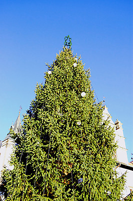 포토 JPG 해외이미지 나무 계절 크리스마스 휴가 사람없음 장식 슬로바키아 해외202004 해외포토 식물 기념일 유럽 파일형식 이미지허브