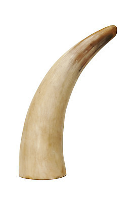 포토 JPG 해외이미지 동물 1 백그라운드 곡선 일러스트 뿔 창조 사람없음 가축 흰색 용기 소 보호 황소 충격 고립 해외202004 해외포토 그릇 선 컬러 컨셉 포유류 파일형식 이미지허브