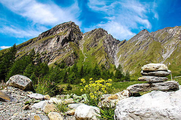 포토 JPG 해외이미지 식물 꽃 유럽 호수 여행 자연 하늘 휴가 산 풍경 사람없음 초록색 여름 파란색 환경 계곡 놀람 봄 이탈리아 바위 오스트리아 알프스 돌무덤 절정 해외202004 해외포토 계절 감정 나라 컬러 표정 돌_바위 무덤 생태계 파일형식 이미지허브