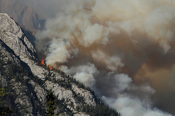 포토 JPG 해외이미지 나무 불 산 사람없음 노란색 연기 숲 위험 화재 산불 연소 해외202004 해외포토 자연요소 식물 컬러 컨셉 사건 파일형식 이미지허브