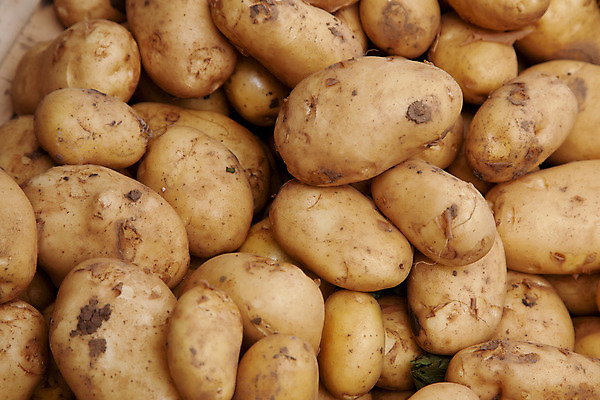 포토 JPG 해외이미지 음식 백그라운드 채소 감자 사람없음 신선 질감 해외202004 해외포토 파일형식 이미지허브