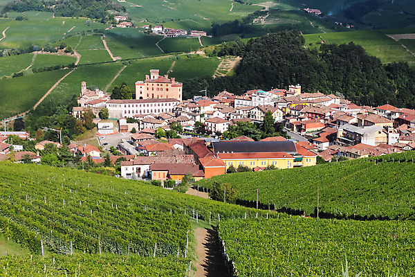 포토 JPG 해외이미지 유럽 음료 선 음식 백그라운드 밭 농업 자연 포도 휴가 산 풍경 사람없음 야외 초록색 여름 농장 마을 환경 와인 계곡 이탈리아 성장 시골 신선 샴페인 땅 언덕 포도밭 포도나무 타운 산기슭 내추럴 대칭 밭일 줄서기 세련 해외202004 해외포토 계절 나라 산업 컬러 과일 모션 주류 도시 과일나무 생태계 파일형식 이미지허브