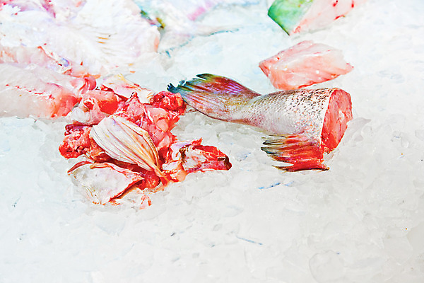 포토 JPG 해외이미지 아시아 음식 건강 어류 요리 사람없음 빨간색 쇼핑 판매 세일 얼음 중국 신선 잡기 시장 가격 먹기 해산물 날것 슬라이스 멀리 동쪽 홍콩 칠면조 옛날 이국적 프로방스 제의 해외202004 해외포토 자연요소 나라 컬러 모션 조류 수중동물 방향 파일형식 이미지허브