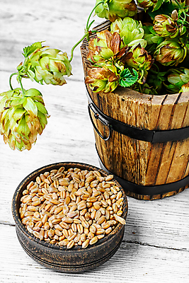 포토 JPG 해외이미지 그릇 곡류 실내 사람없음 가득함 담기 나무통 나무배경 해외202004 홉 해외포토 식물 식기 백그라운드 모션 통 내부 파일형식 이미지허브