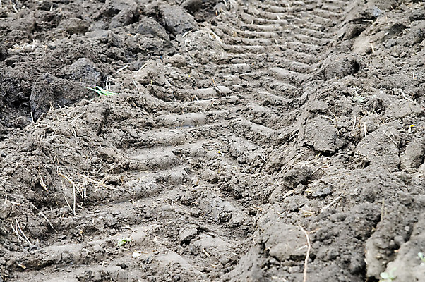 포토 JPG 해외이미지 구름 계절 산업 지구 백그라운드 컨셉 잎 농업 비즈니스 자연 하늘 건조 씨앗 풍경 사람없음 여름 파란색 농작물 마을 환경 검은색 봄 수확 성장 가을 시골 뜨거움 땅 시리얼 만취 질감 트랙 먼지 장면 진흙 가뭄 트랙터 밀짚 내추럴 땅바닥 쟁기 수평선 세련 해외202004 해외포토 자연요소 식물 음식 컬러 날씨 바닥 짚 농기계 생태계 특수차량 술취함 파일형식 이미지허브