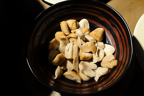 포토 JPG 해외이미지 계절 음식 줄기 백그라운드 농업 채소 재료 자연 건강 요리 사람없음 목재 검은색 식사 저녁식사 어둠 버섯 가을 흰색 신선 그룹 사발 정상 먹기 준비 유기농 날것 각도 슛 흙더미 내추럴 곰팡이 그물버섯 식용 이국적 채식주의자 많음 해외202004 해외포토 나무 식물 웰빙 산업 컬러 컨셉 모션 흙 사기그릇 생태계 채식 파일형식 더미 이미지허브