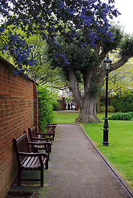 포토 JPG 해외이미지 나무 공원 선 가로등 벤치 휴식 사람없음 목재 정원 보라색 침묵 도시 해외202004 해외포토 식물 공공시설 컬러 컨셉 의자 재료 소리 파일형식 이미지허브