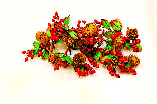 포토 JPG 해외이미지 전통 열매 크리스마스 휴가 건조 사람없음 장식 빨간색 축제 배열 해외202004 해외포토 식물 기념일 컬러 파일형식 이미지허브